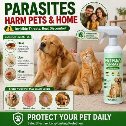 Top Recommendation Buy 1 Get 1 Free for a Limited Time Pet Flea Spray - Plant-Based Formula!
