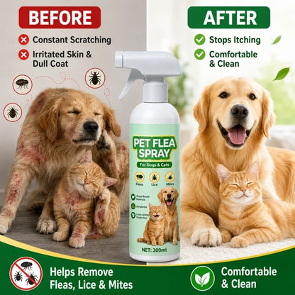 Top Recommendation Buy 1 Get 1 Free for a Limited Time Pet Flea Spray - Plant-Based Formula!