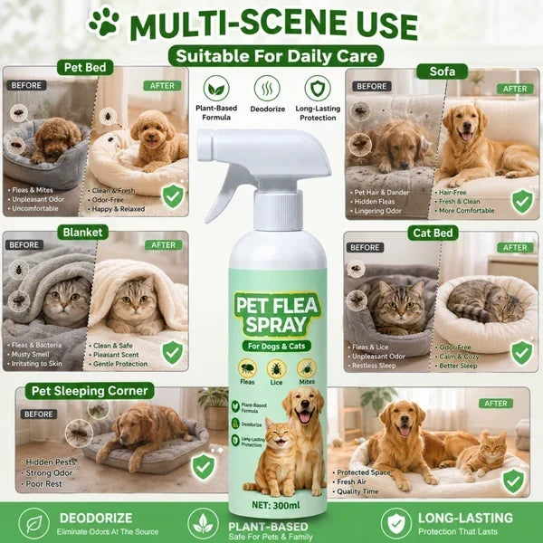 Top Recommendation Buy 1 Get 1 Free for a Limited Time Pet Flea Spray - Plant-Based Formula!